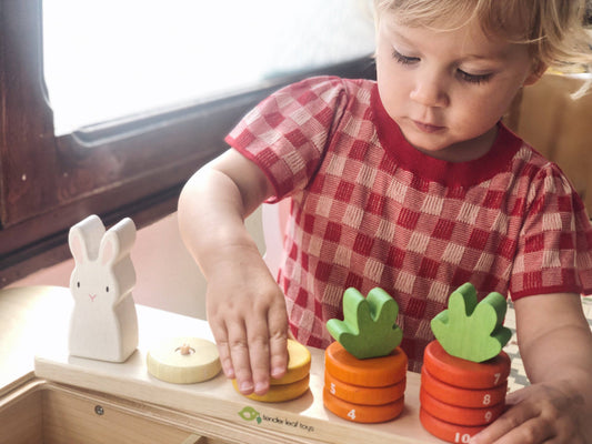 Tender Leaf Toys Counting Carrots